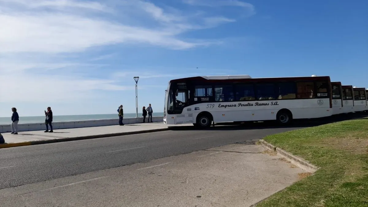 Presentaron 25 ómnibus 0km que se incorporan al servicio de transporte