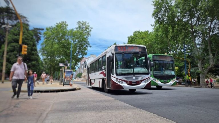 Uta Mar Del Plata Se Suma Al Paro Y El Jueves No Habr Colectivos