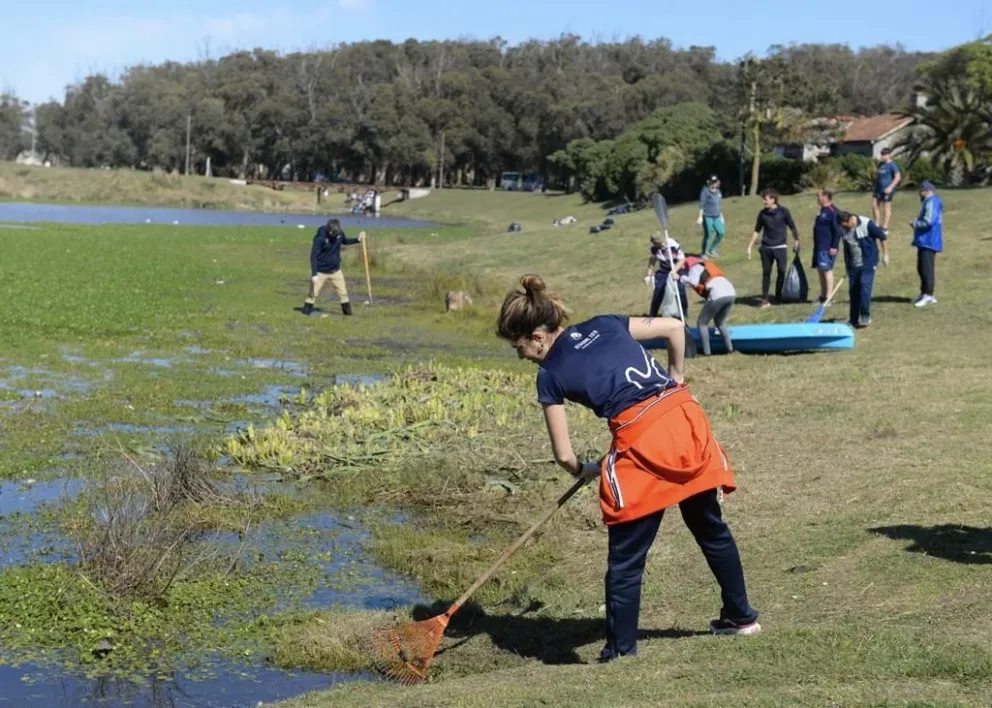 ¿Cuáles son los principales problemas socioambientales de Mar del Plata y la zona?