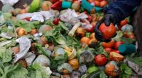 Conciencia sobre el desperdicio de alimentos: redefinir los sistemas de producción y consumo