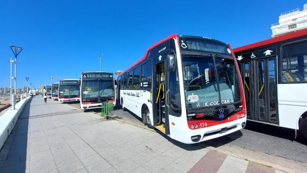 Empresas  marplatenses de colectivos piden que el boleto pase a 1003 pesos