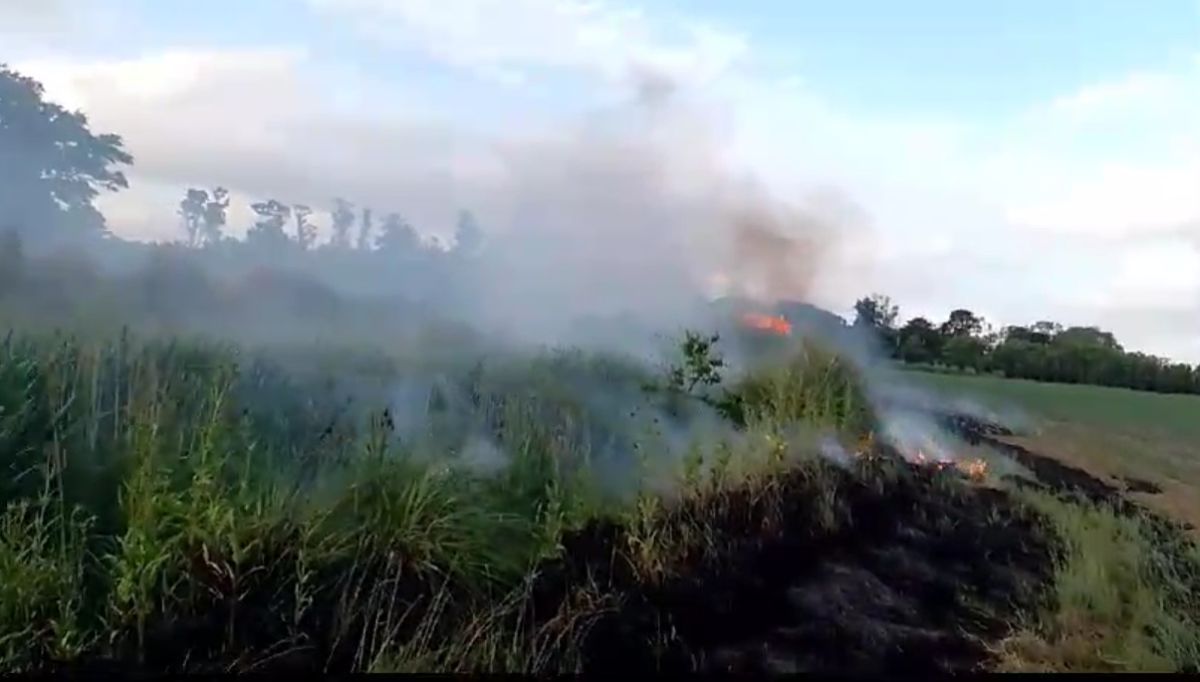 Bomberos controlaron incendio de pastizales en la Ruta 88