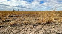 Presentaron un informe sobre la expansión de las sequías en la COP28