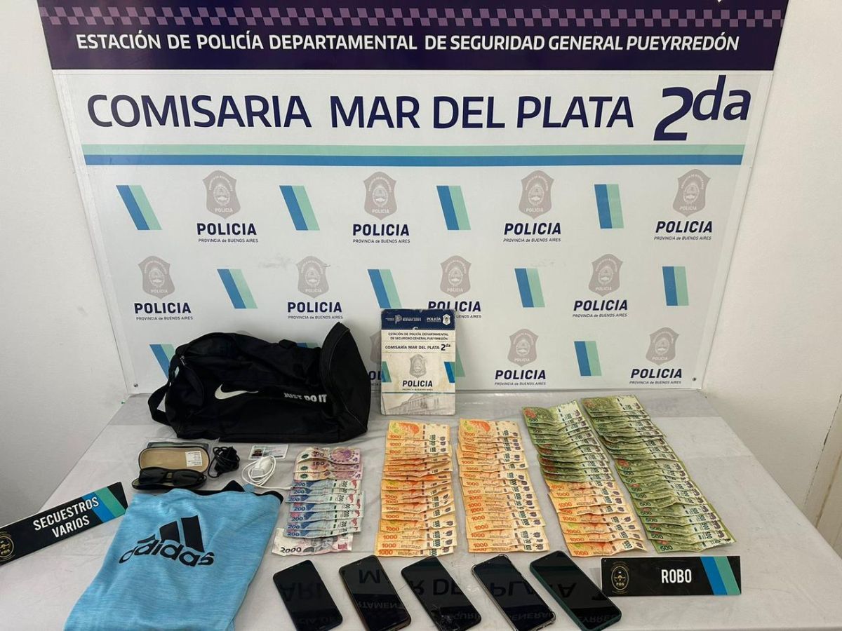 Ingresó a un hotel céntrico, robó pertenencias de los huéspedes y una vez detenido hirió a un policía