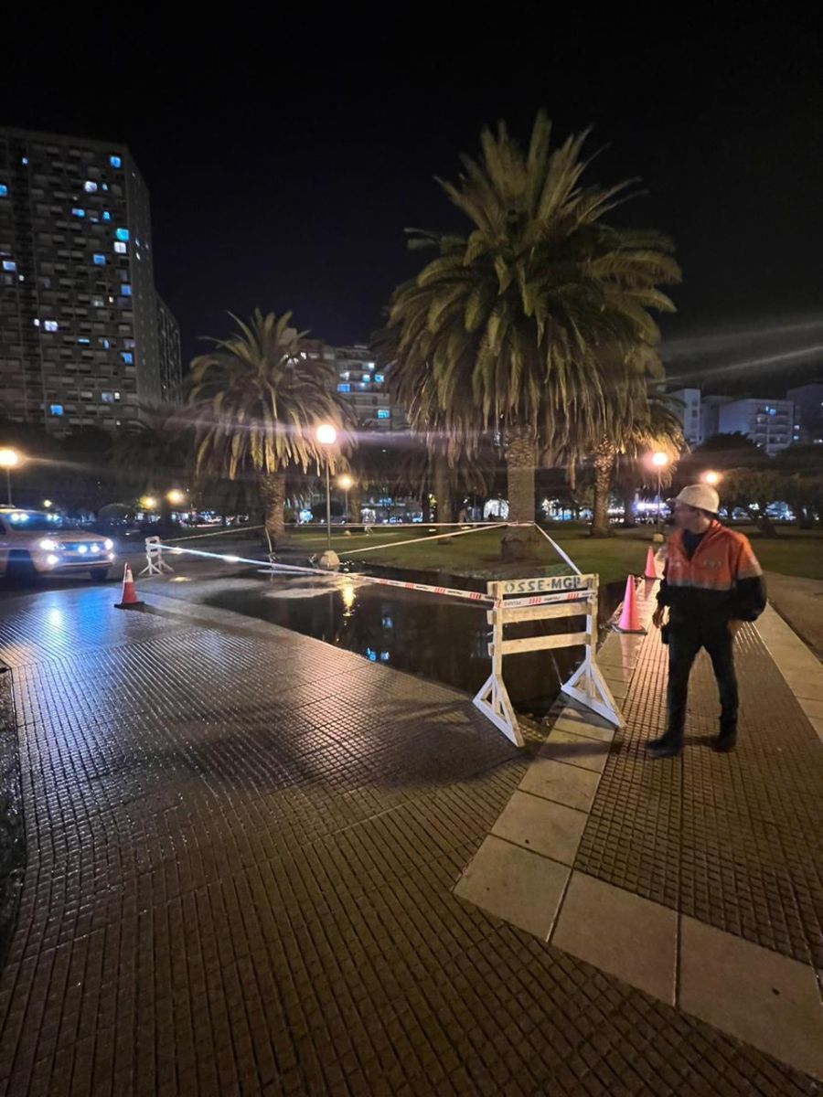 Murió Un Perro Electrocutado Durante El Temporal En Mar Del Plata Infobrisas Noticias De Mar 8263