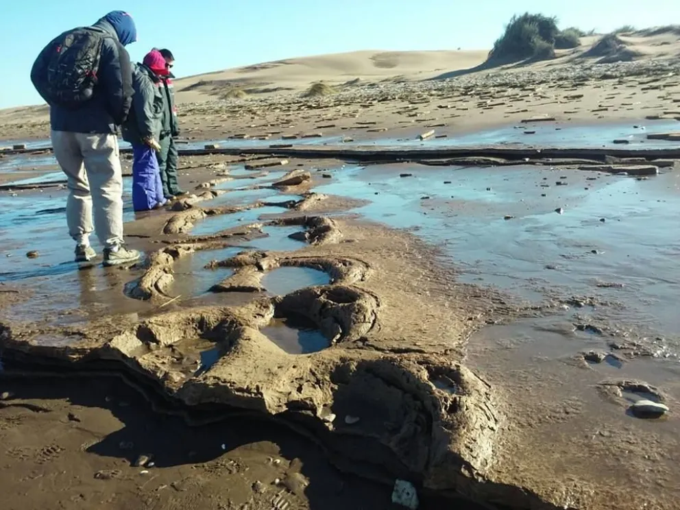 Pisadas milenarias en la arena y un bosque encantado: los tesoros de Pehuen Có