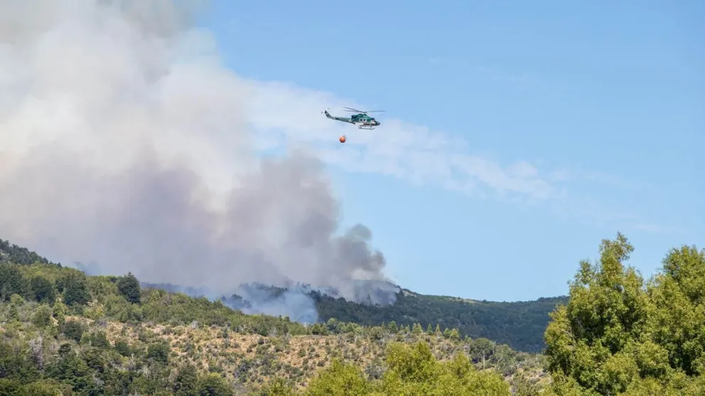 Más de 2300 hectáreas quemadas en el Parque Nacional Los Alerces 