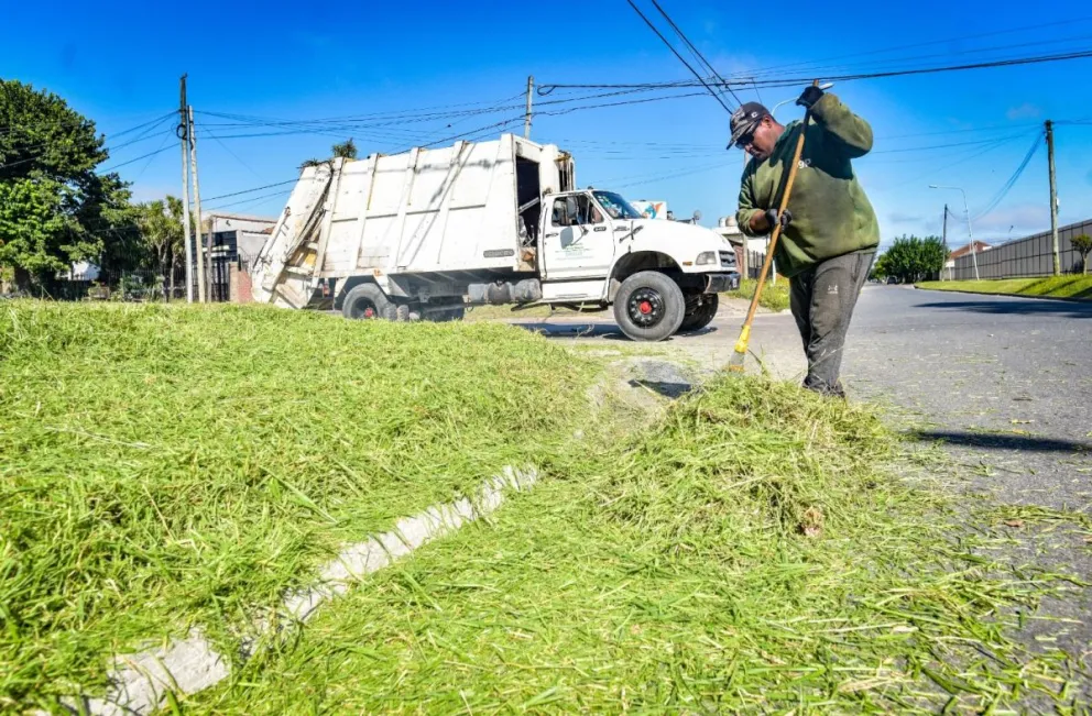 Retiraron más de 2200 toneladas de residuos en microbasurales de Mar del Plata