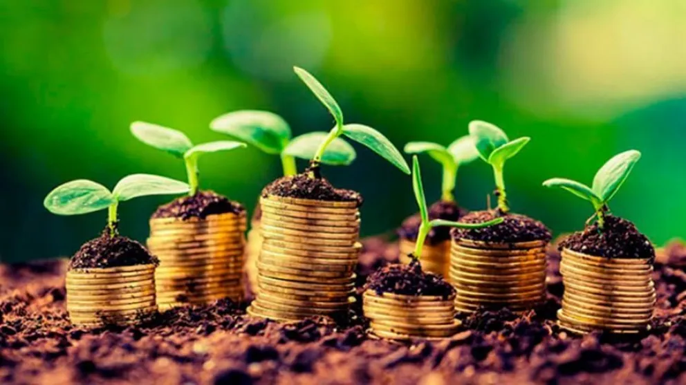 Bioeconomía: aprovechar recursos biológicos para la producción sustentable de bienes y servicios