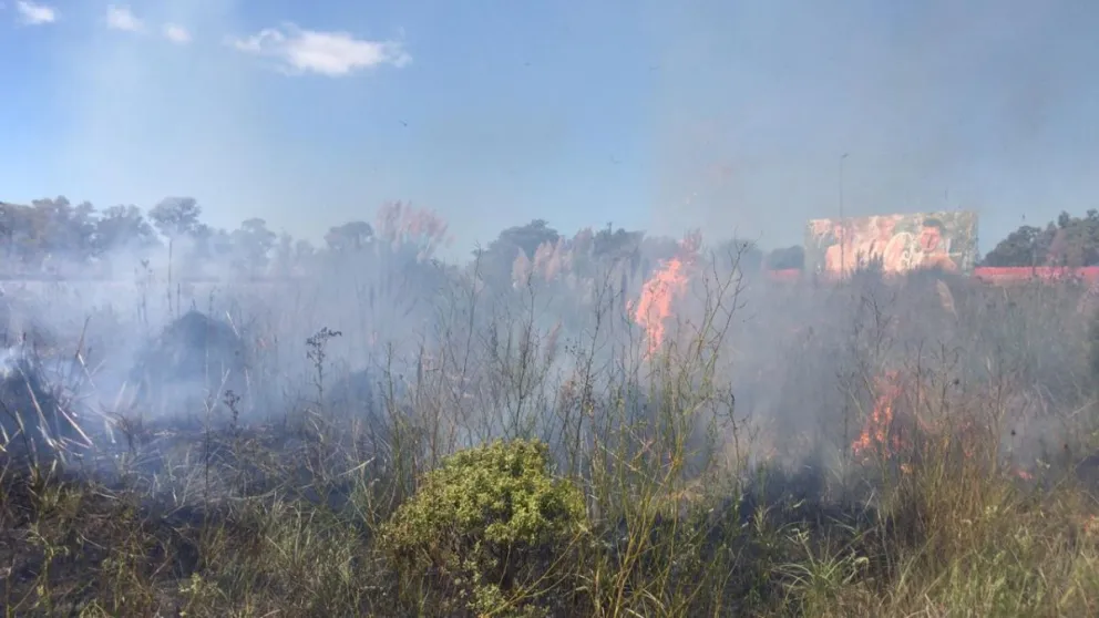Gran incendio forestal a metros de las vías del tren en Ruta 2