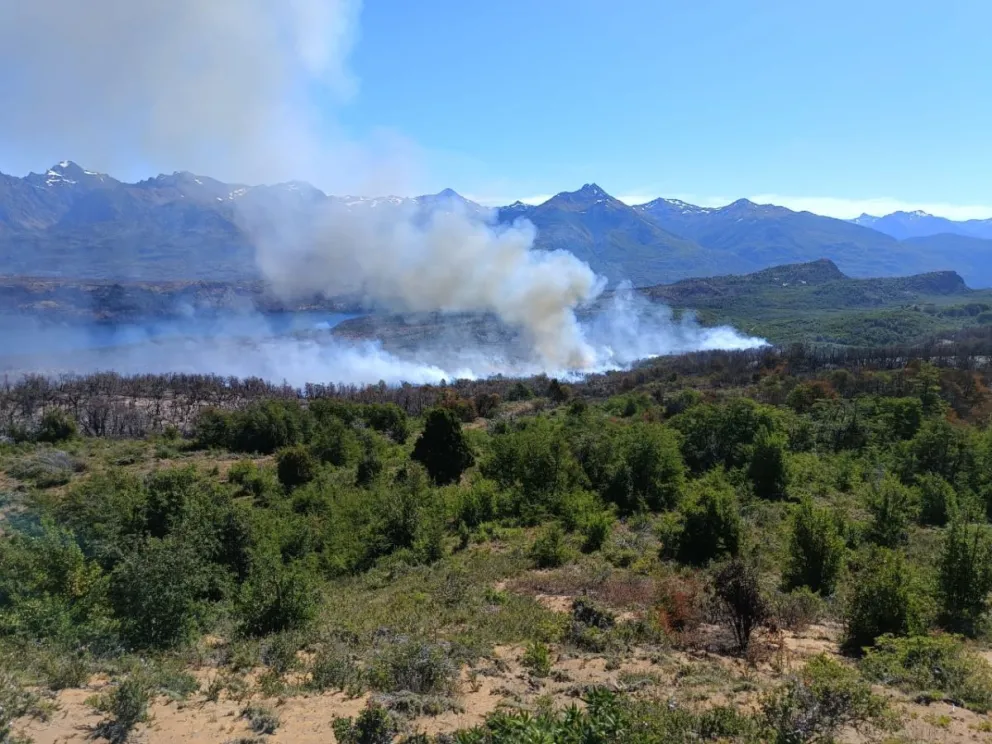 Brigadistas lograron controlar el incendio de Parque Nacional Los Alerces 