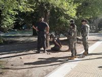 Dos detenidos en un operativo en el centro de Mar del Plata