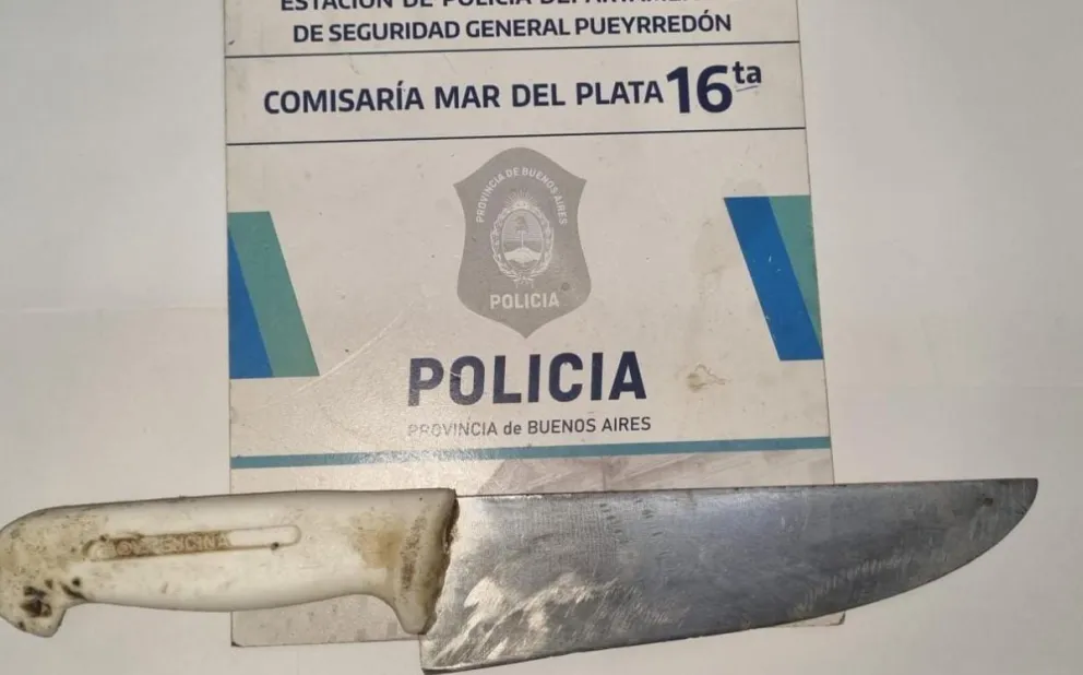 Golpeó y amenazó de muerte a su expareja y le apuñaló a la mascota