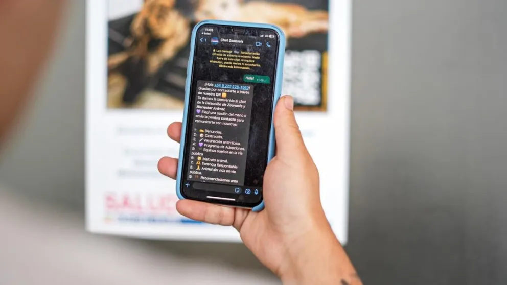 El municipio lanzó un Chatbot para consultas sobre Zoonosis y Bienestar Animal