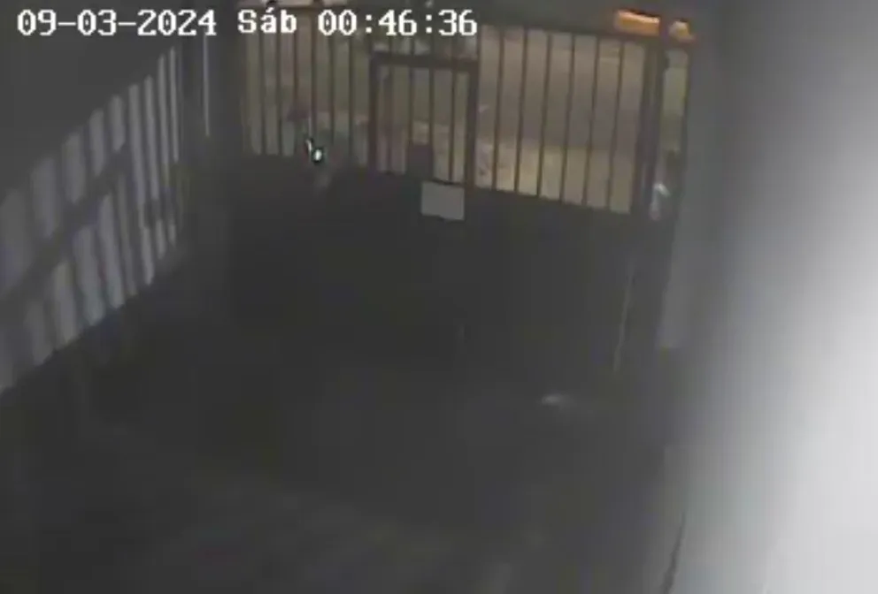 Delincuentes se robaron una moto y bicicletas de un edificio a pocas cuadras de una comisaría