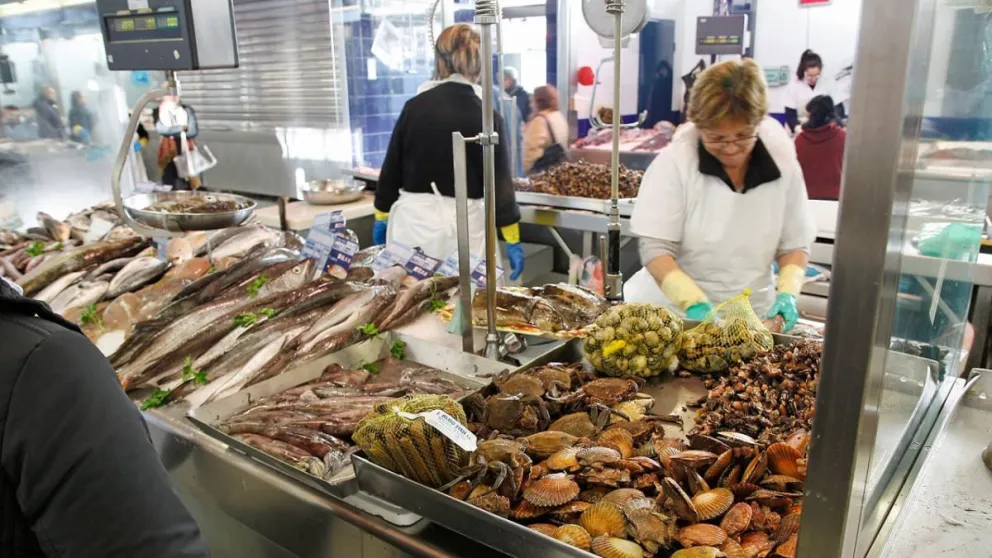 Impulsan eliminación del IVA al pescado para estimular su consumo: "El 30% de los adolescentes nunca lo probó"
