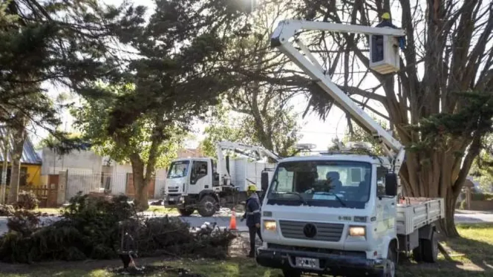 Continúan las tareas de acondicionamiento en la plaza del barrio Félix U Camet