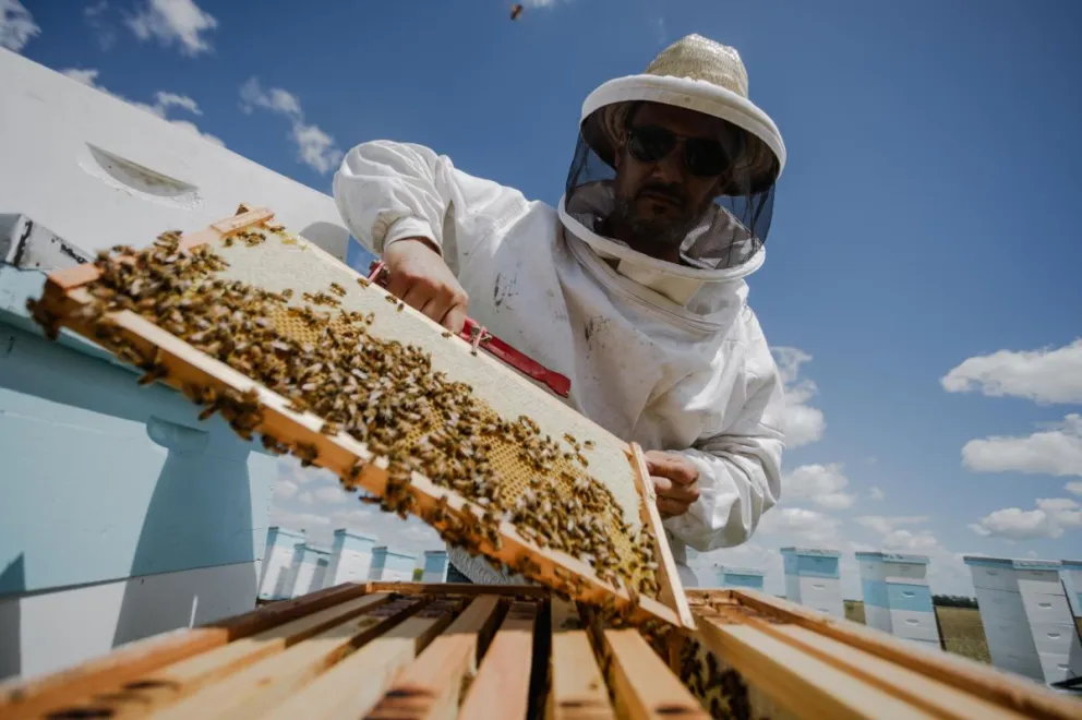 Se llevó adelante el Primer Encuentro Tecnológico Ciencia, Abeja y Kiwi en Mar del Plata