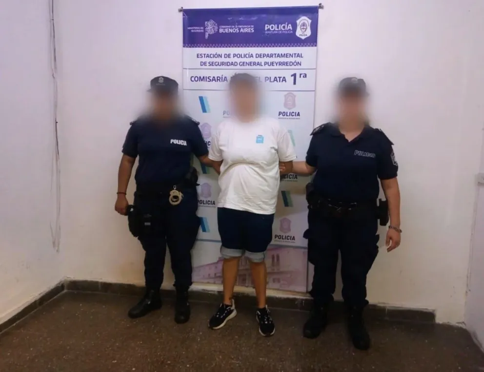 Aprehenden a una mujer que robó en dos comercios del centro 