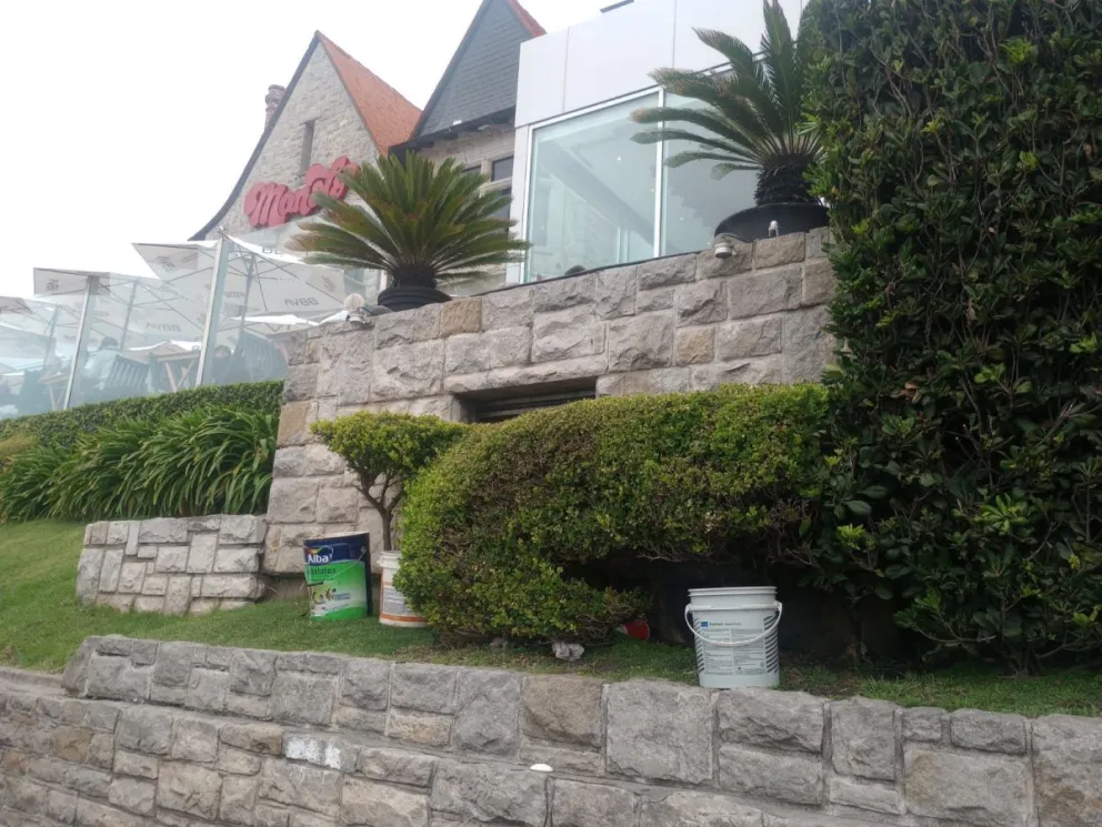 Aprehenden a un cuidacoches que ayer robó una planta del restaurante Manolo