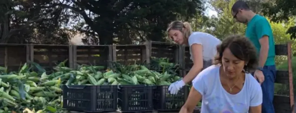 Realizan un proyecto para reducir la pérdida de alimentos en la producción frutihortícola 