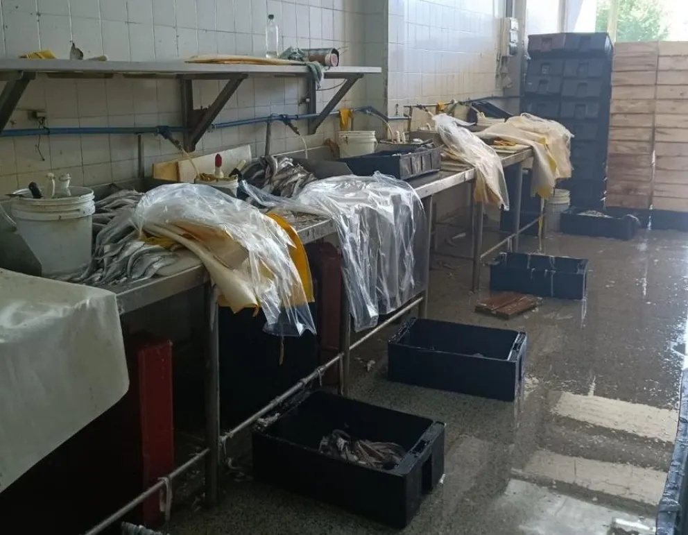 Clausura de planta de fileteado de pescado por irregularidades