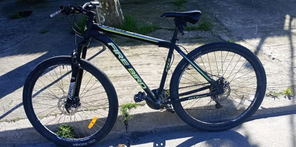 Detienen a un hombre que robó una bicicleta de la vía pública y fue descubierto por su propietaria 