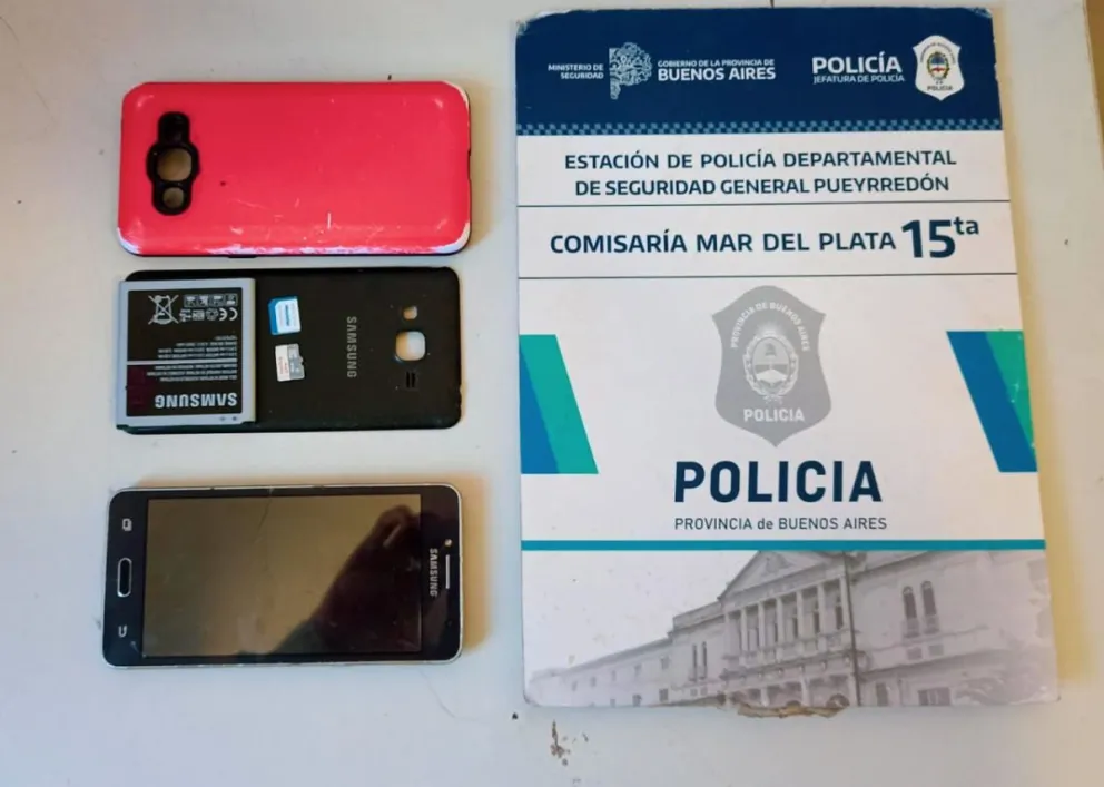 Robó un celular arriba del colectivo y el chofer lo bajó en la comisaría 