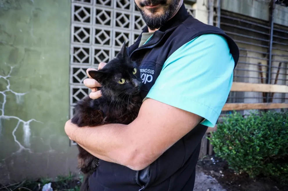 Rescatan a dos mascotas abandonadas en el balcón de un departamento