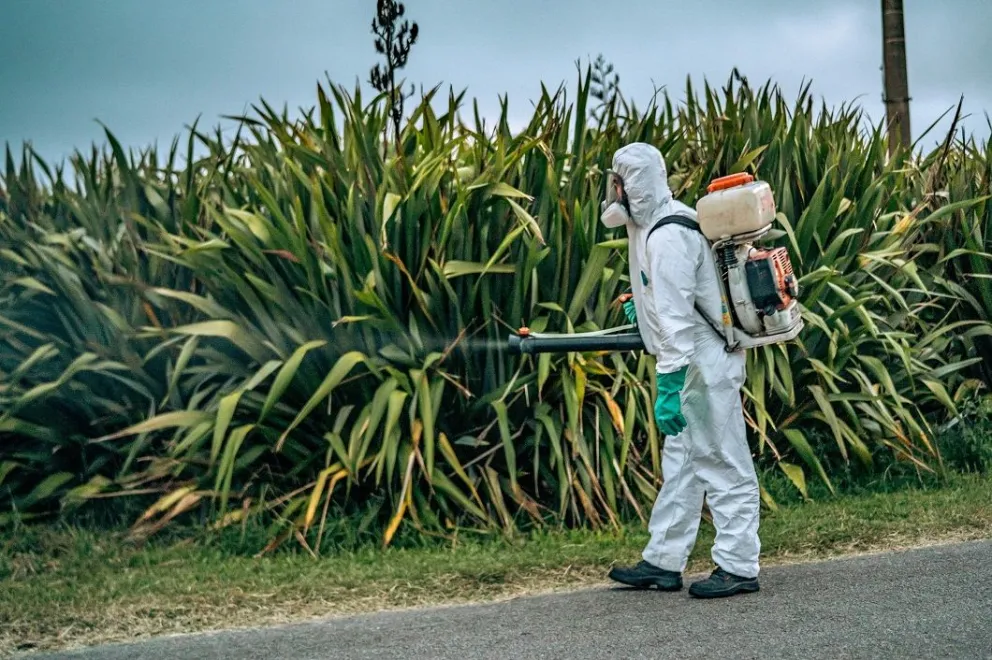 Continúan las tareas de prevención contra el dengue en Mar del Plata