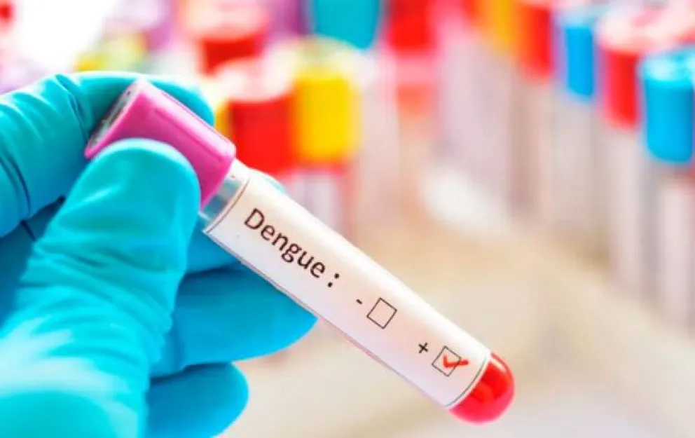 ¿Dónde hay que recurrir ante síntomas compatibles con el dengue en Mar del Plata?