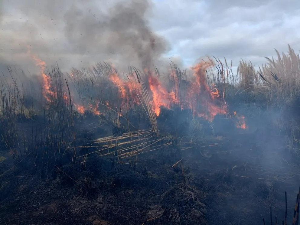 VIDEO: Bomberos trabajan en un voraz incendio en un predio de Obras Sanitarias 