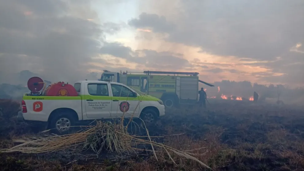 Bomberos controlaron esta madrugada el incendio desatado en el predio de OSSE