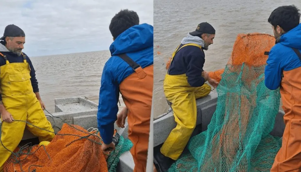 INIDEP inició estudios sobre la corvina rubia en la Bahía Samborombón
