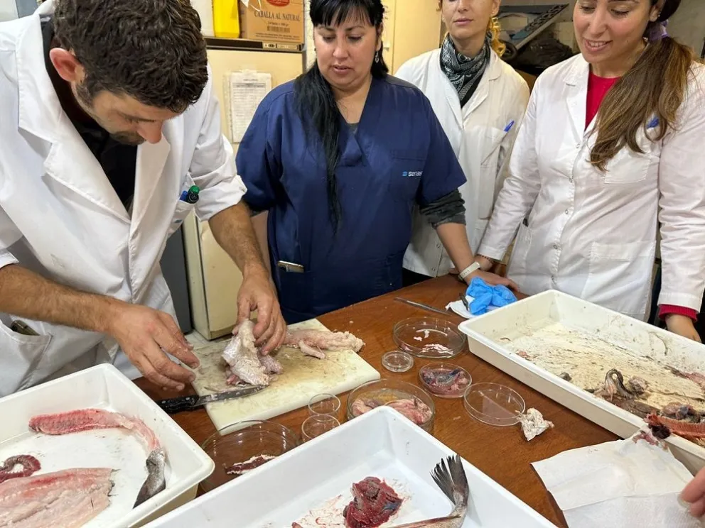 Capacitación sobre parásitos en merluza