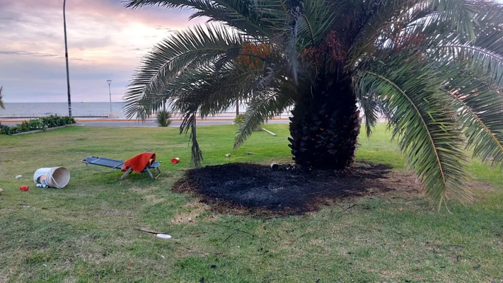 Bomberos intervinieron en Plaza España por un principio de incendio