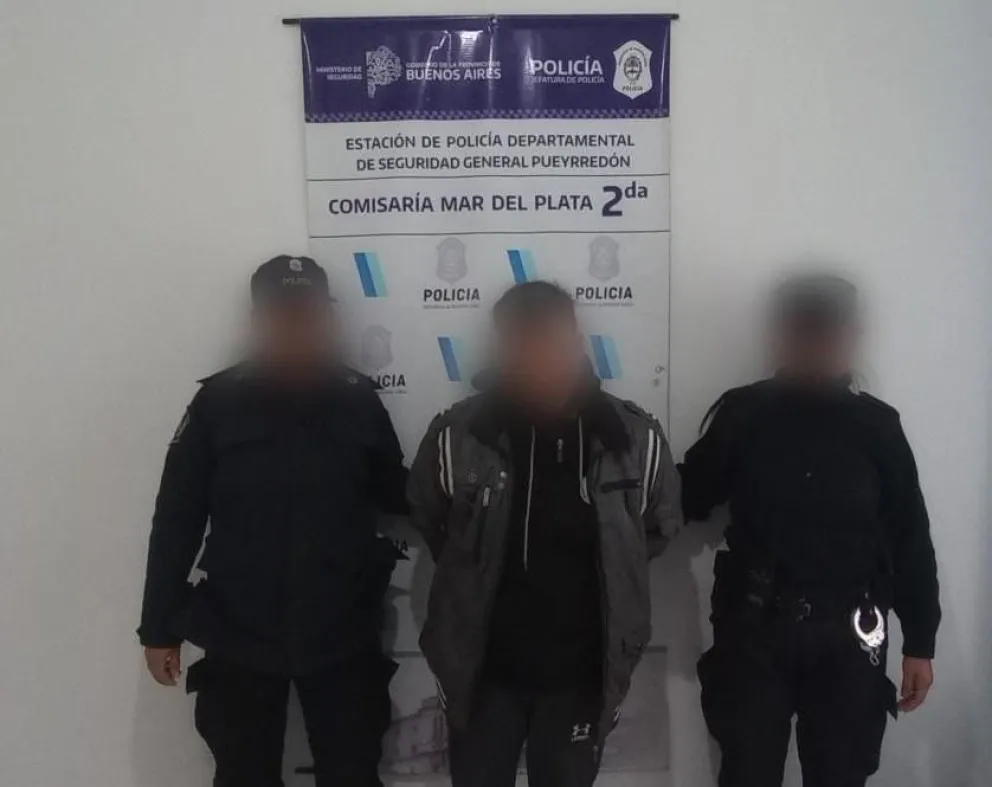 Detenido por robar collares para gatos en un Petshop