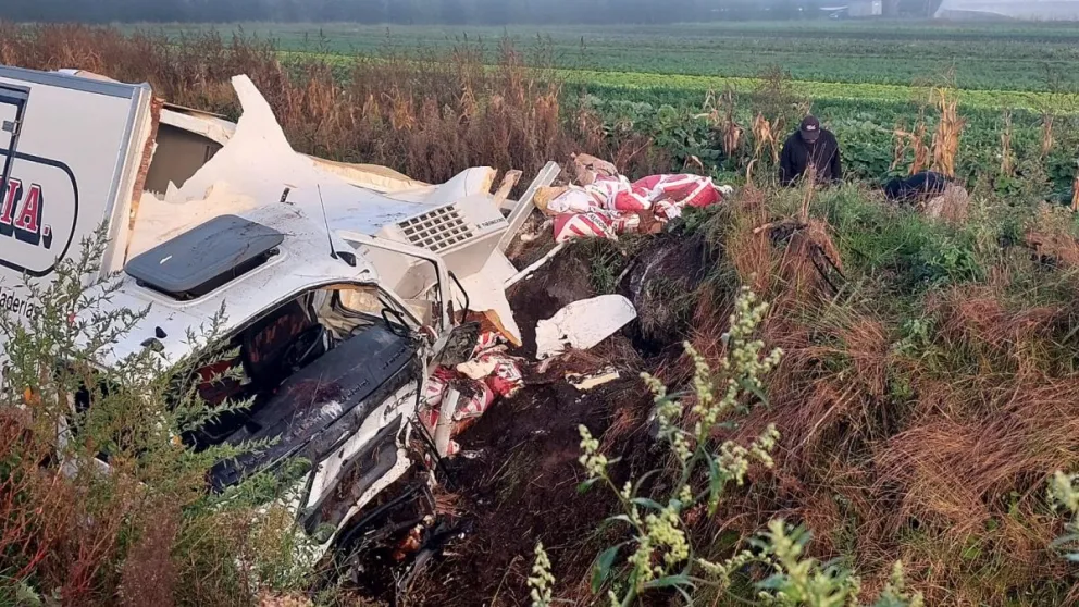 Así quedó el camión que se despistó en el camino San Francisco