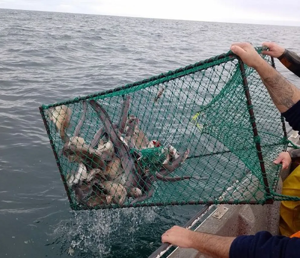Capacitacion en diseño y construcción de trampas para la pesca