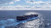Aseguran que naviera francesa moverá "mucha carga" desde Mar del Plata en nueva ruta al mercado de Brasil 