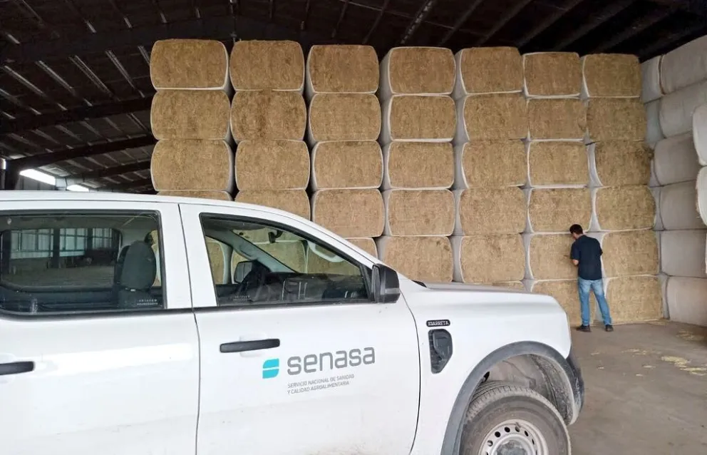 Huelga en Senasa amenaza con paralizar exportaciones