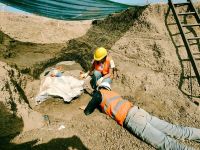 El esqueleto encontrado en el Parque Industrial pertenece a un Perezoso Terrestre Gigante