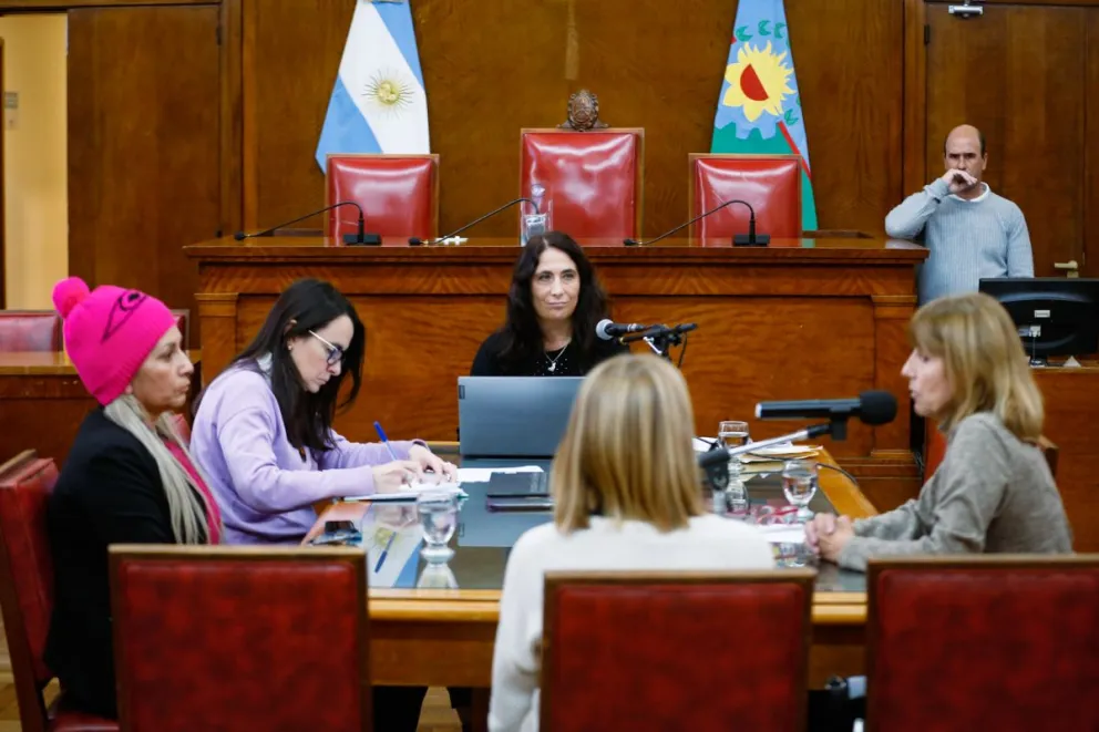 Presentan un proyecto para declarar la "Emergencia en Violencia de Género y Diversidad"