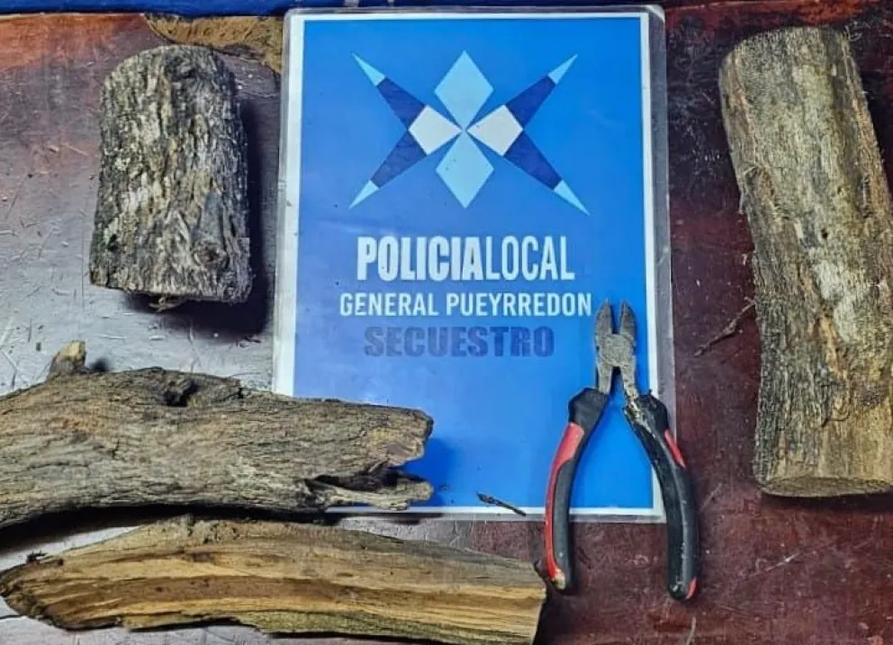 Cortaron el alambrado de una leñera y llevaron cinco maderas