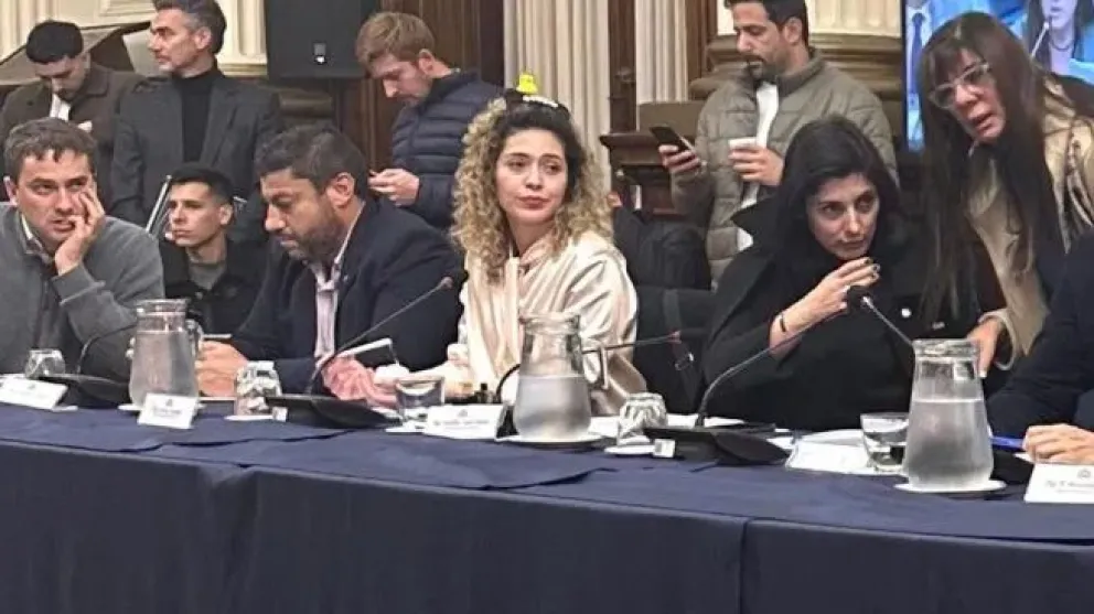 El Congreso no se salva de las modas: una diputada asistió con un patito en la cabeza