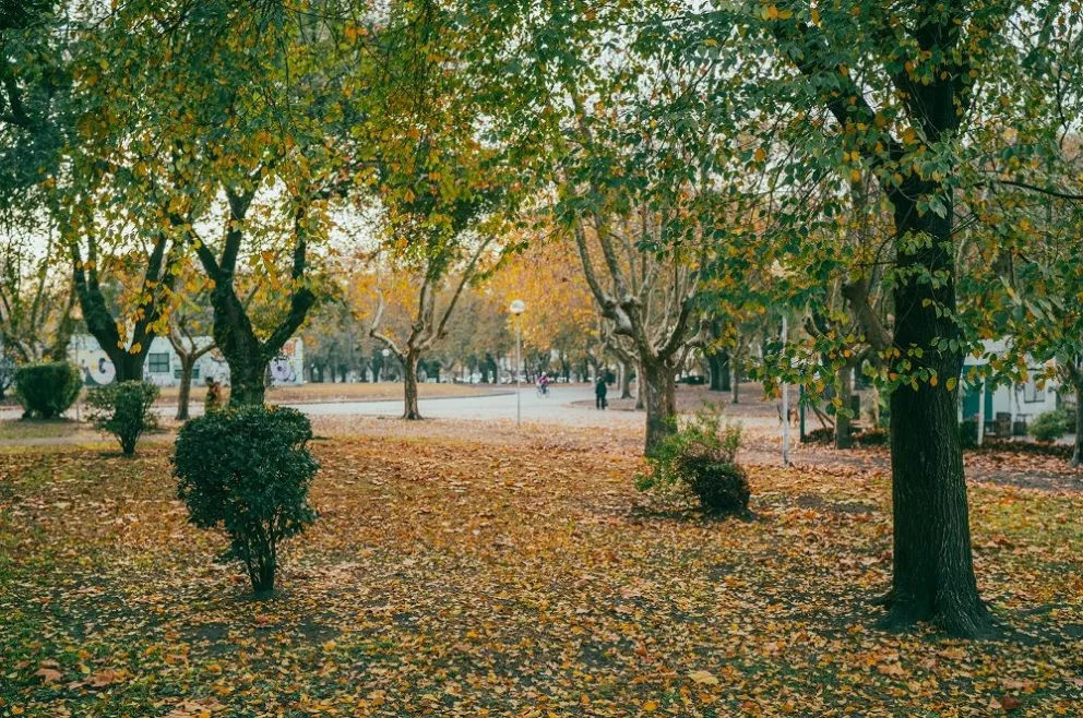Los dispositivos Punto Verde estará en plazas de Mar del Plata