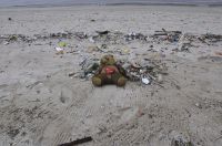 Una campaña marplatense pide "no acostumbrarse a convivir entre la basura"