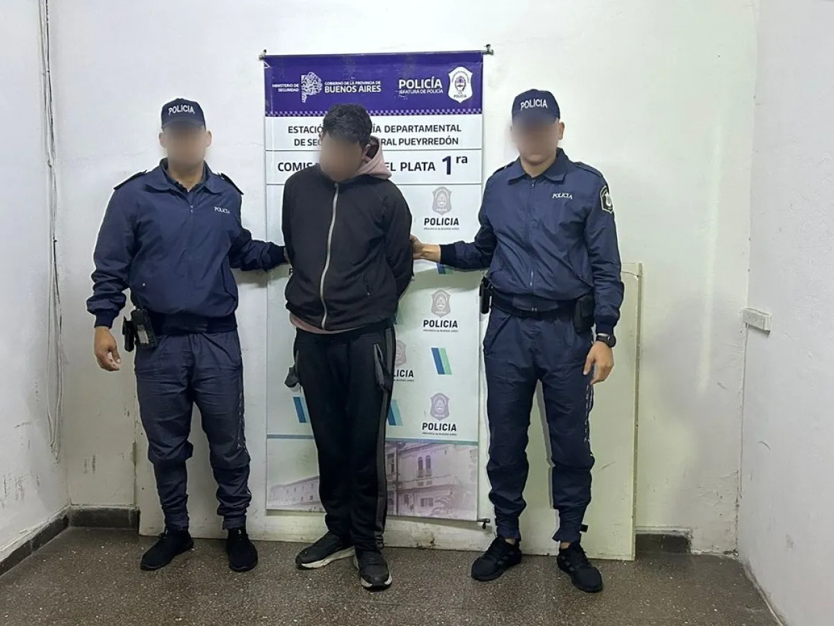 Detienen a dos jóvenes tras el robo de un celular en pleno centro de ...