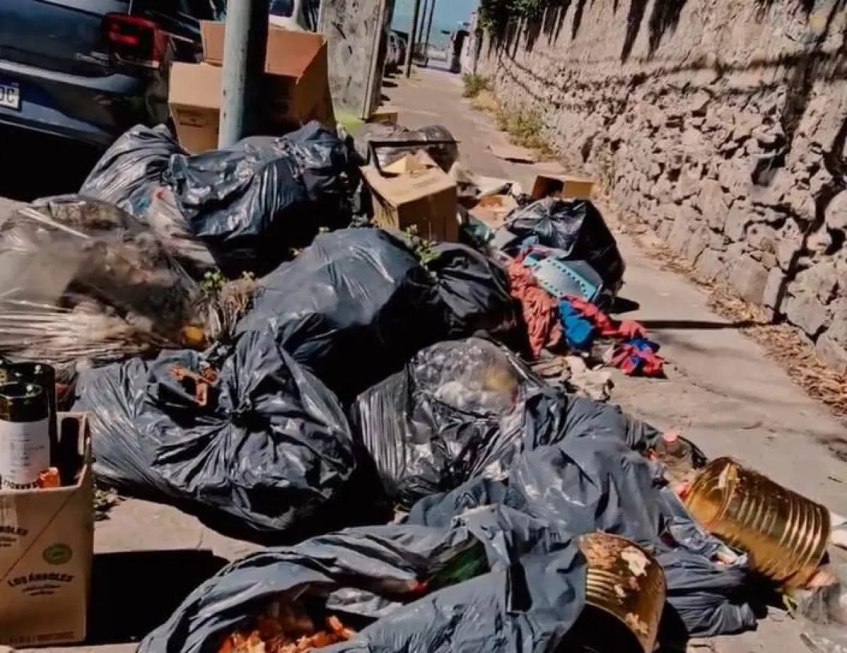 El Municipio eliminó un microbasural en Córdoba y 3 de Febrero | Infobrisas