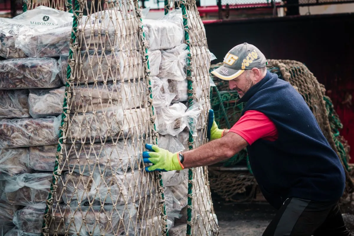 Pesca en picada: ¡35,5% menos pescado en abril!